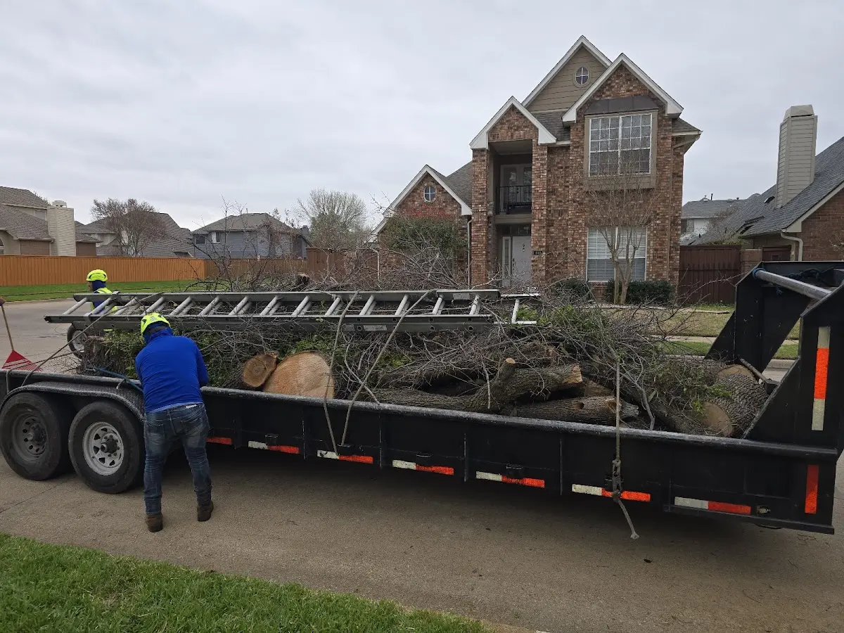 Expert Tree Removal with proper safety equipment in Burkeville